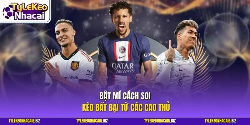 Bật mí cách soi kèo bất bại từ các cao thủ