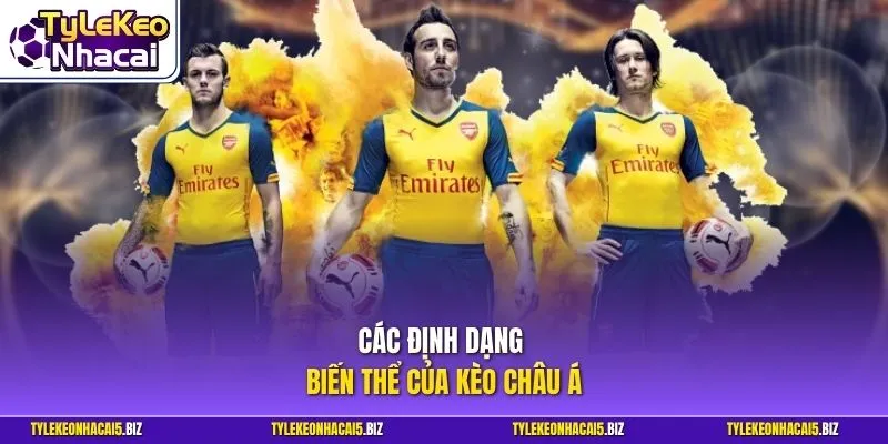 Các định dạng biến thể của kèo châu Á