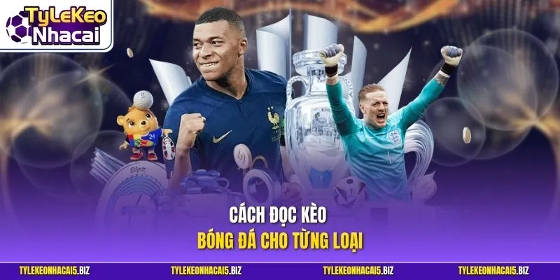 Cách đọc kèo bóng đá cho từng loại