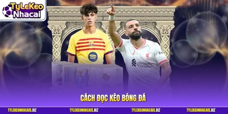 Cách đọc kèo bóng đá