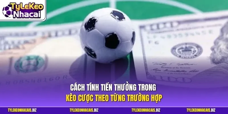 Cách tính tiền thưởng trong kèo cược theo từng trường hợp