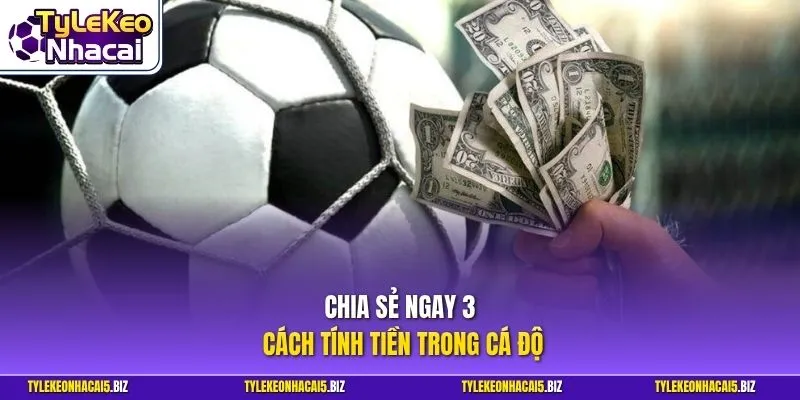 Chia sẻ ngay 3 cách tính tiền trong cá độ