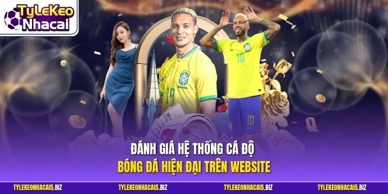 Đánh giá hệ thống cá độ bóng đá hiện đại trên website