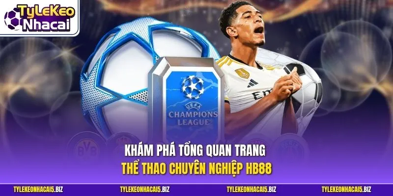 Khám phá tổng quan trang thể thể thao chuyên nghiệp HB88