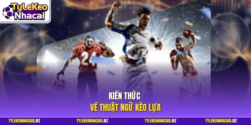 Kiến thức về thuật ngữ kèo lựa