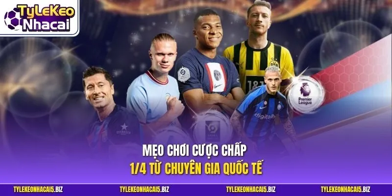 Mẹo chơi cược chấp 1/4 từ chuyên gia quốc tế