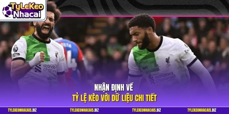 Nhận định về tỷ lệ kèo với dữ liệu chi tiết