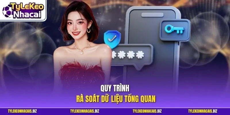 Quy trình rà soát dữ liệu tổng quan